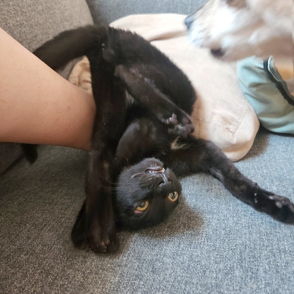 Just Raisins, photo 18