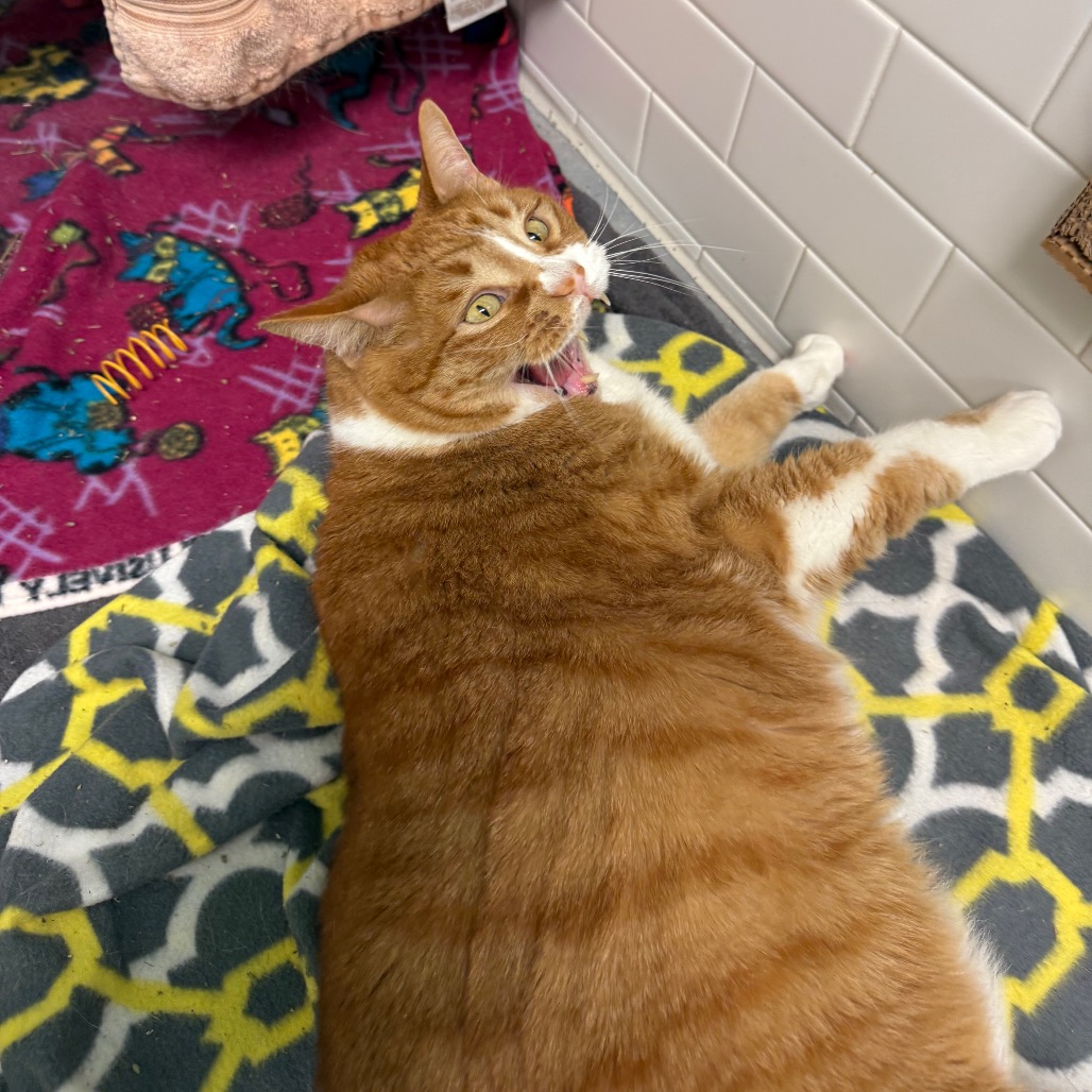 Photo of Freddy and QZ 8