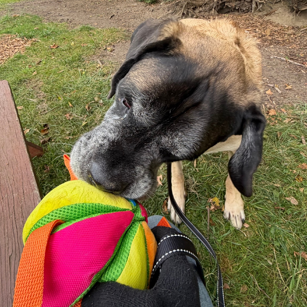 Bentley, photo 21