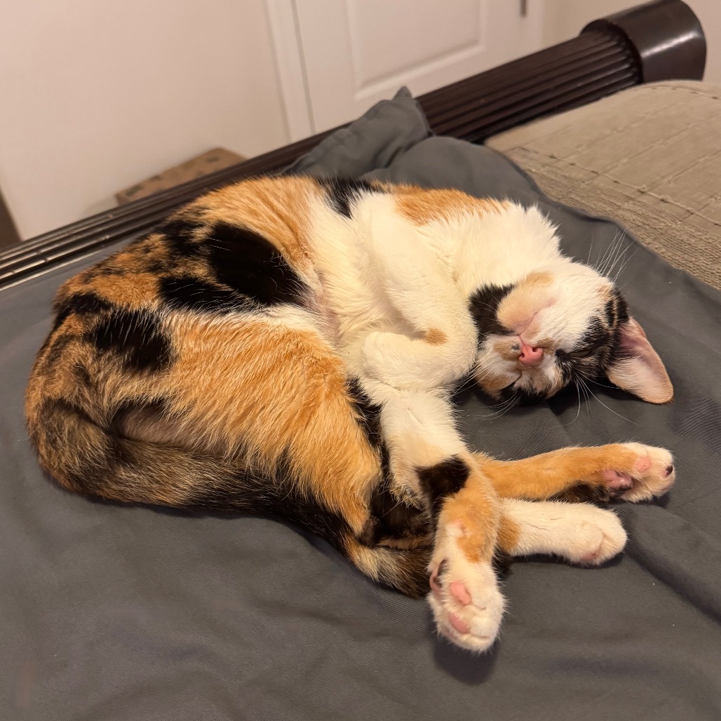 Cassie — thumbnail 5