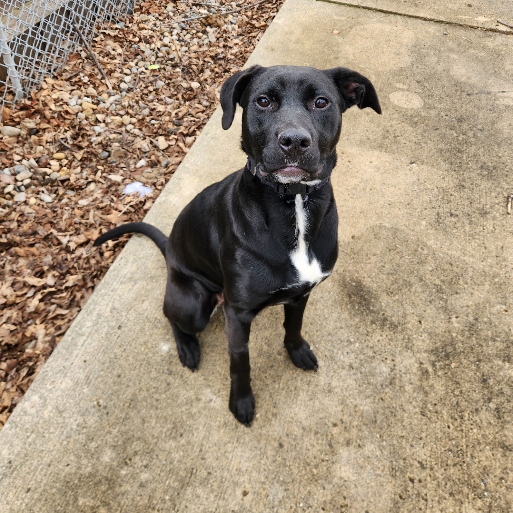 Darla — thumbnail 5