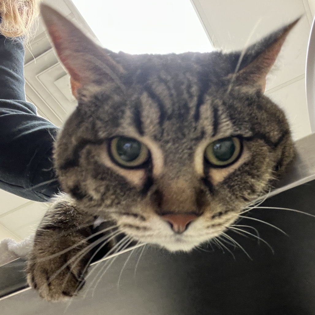 Bubbles — thumbnail 2