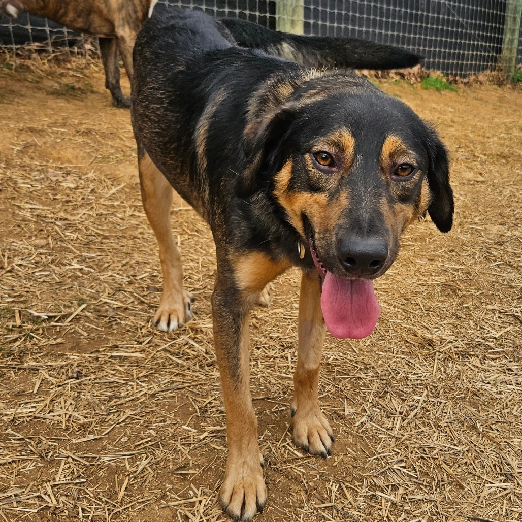 Toby — thumbnail 5