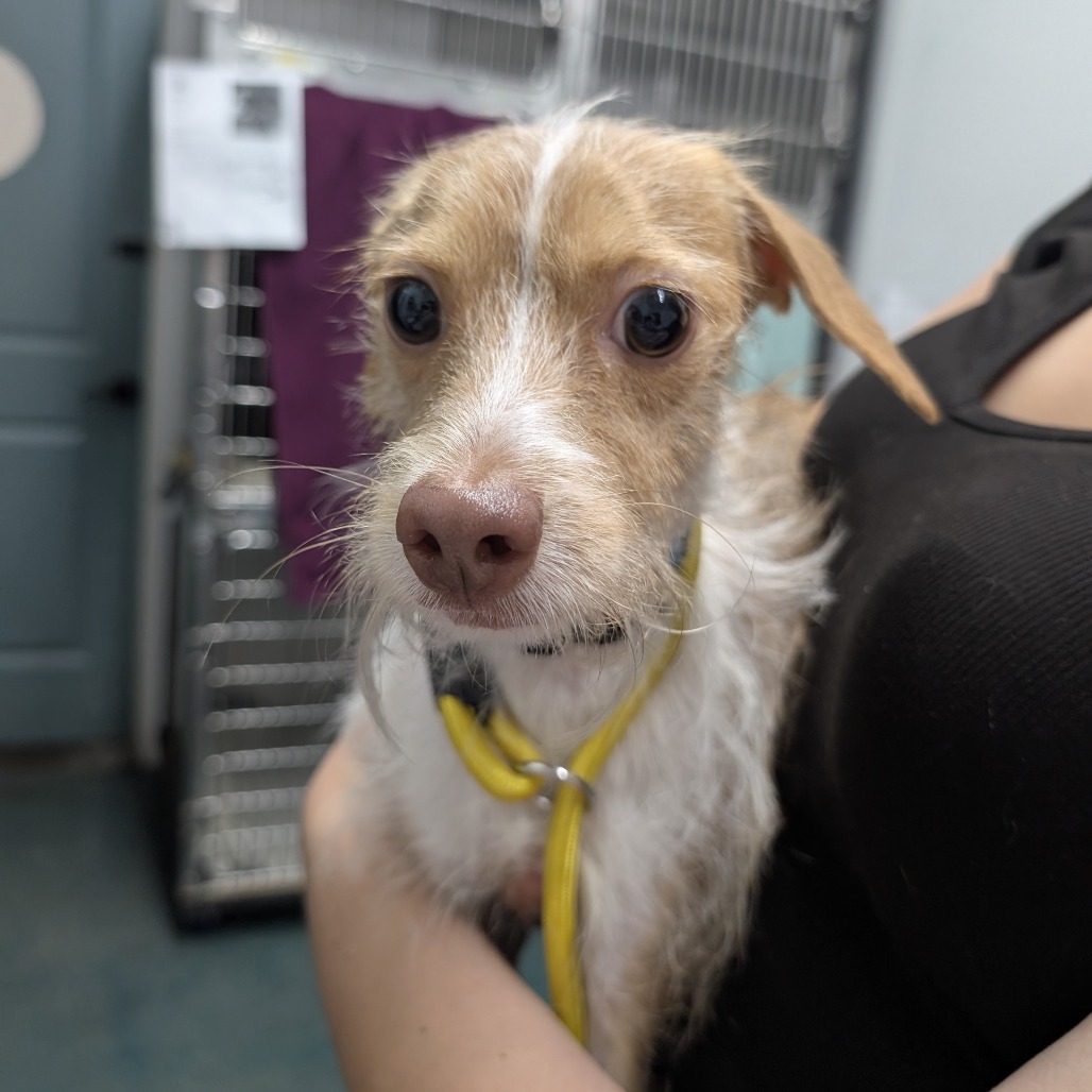 Mr. Bubbles — thumbnail 2