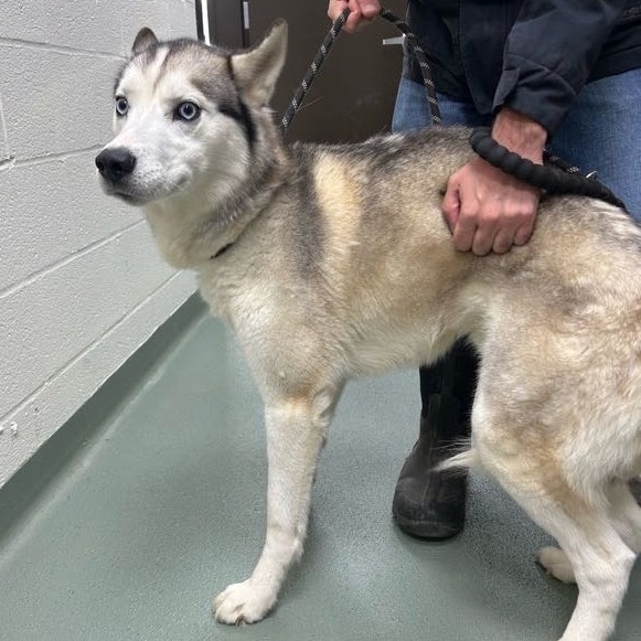 Luan — thumbnail 2