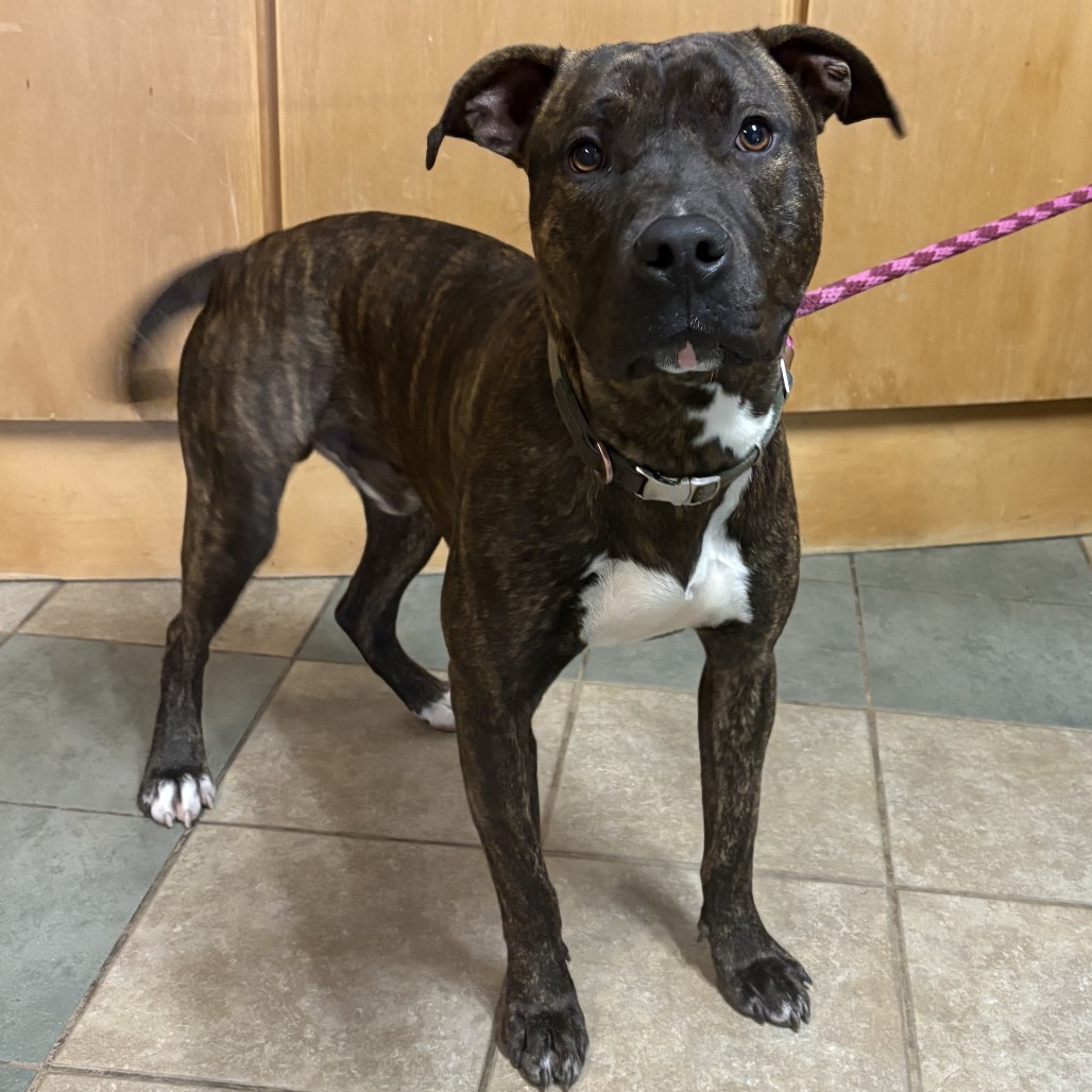 Keebler — thumbnail 11