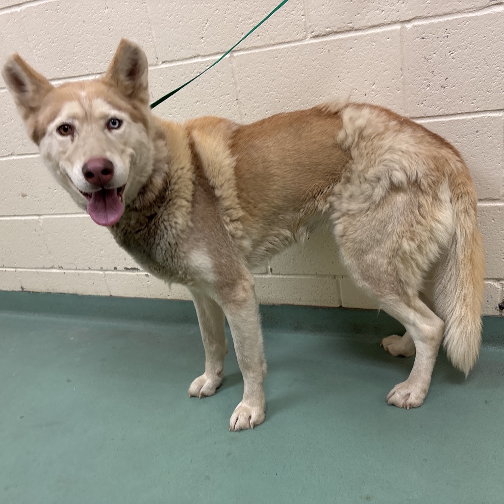 Bosca — thumbnail 2