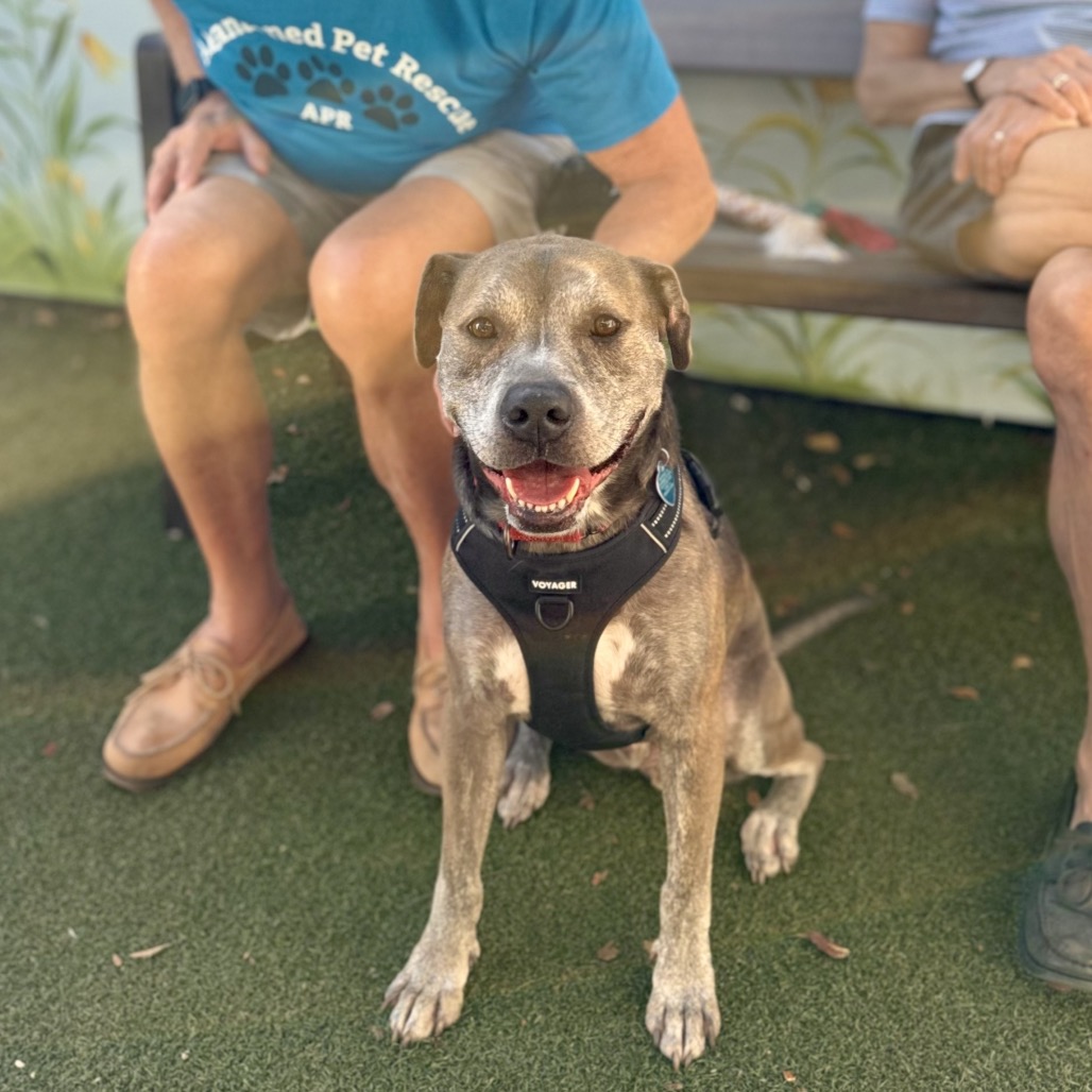 Photo of Homer playing