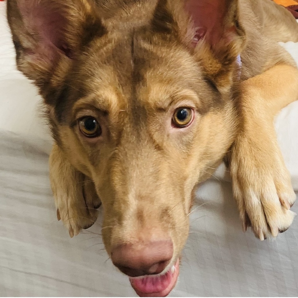 Darla — thumbnail 7