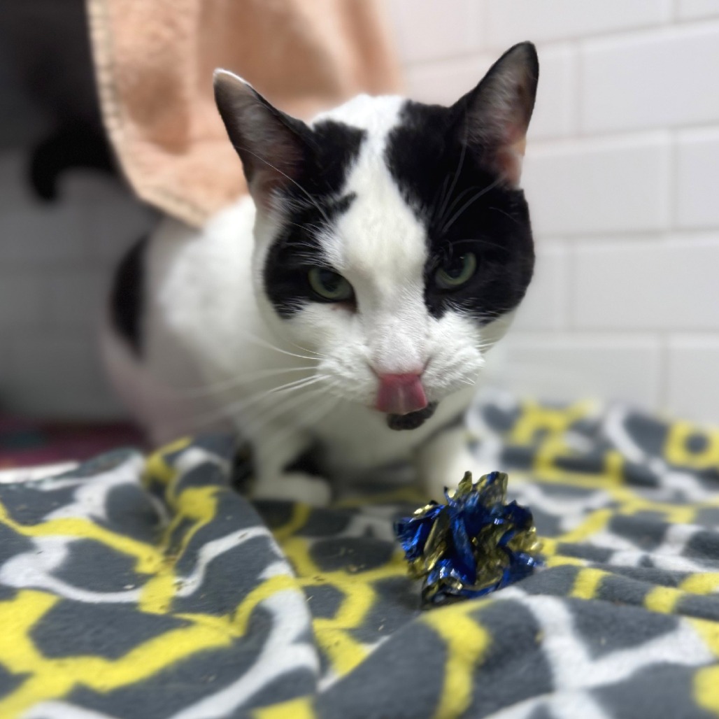 Photo of QZ and Freddy 10