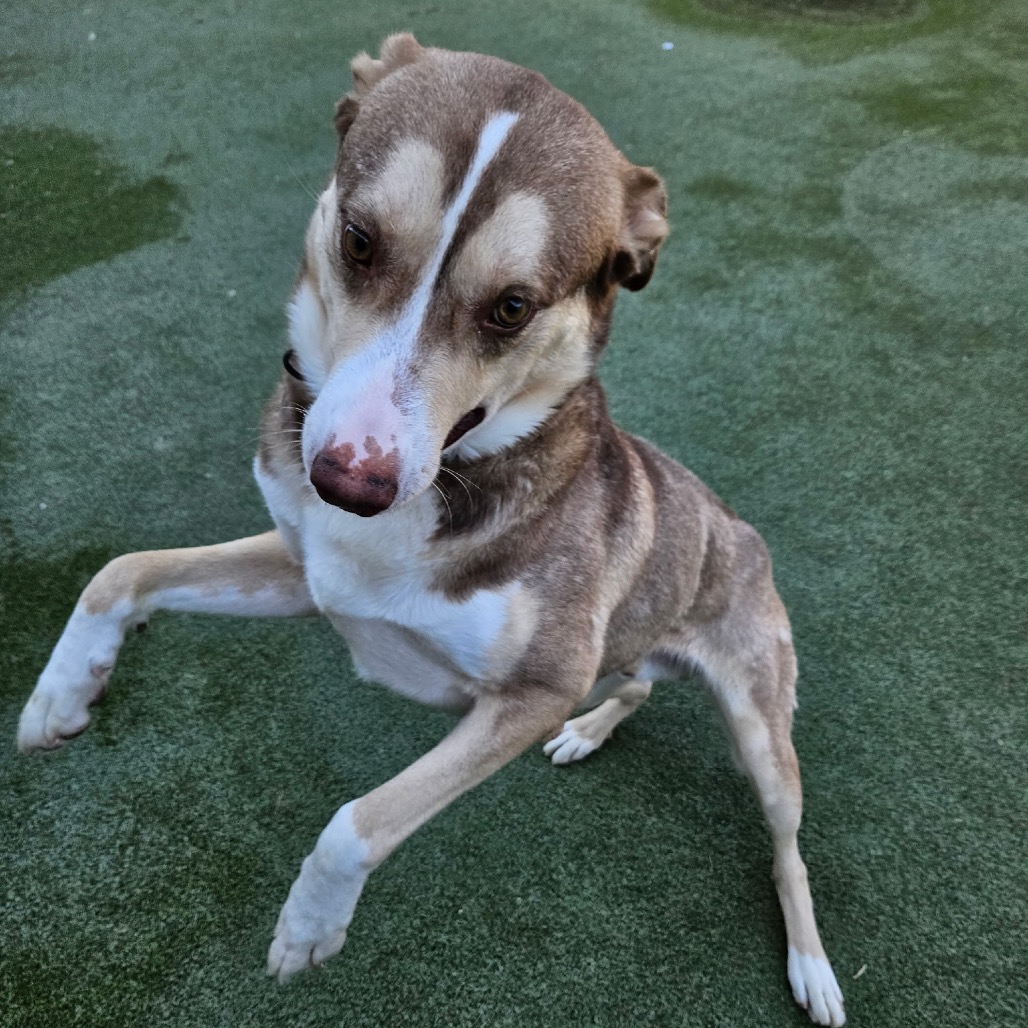 BANDIT, photo 14