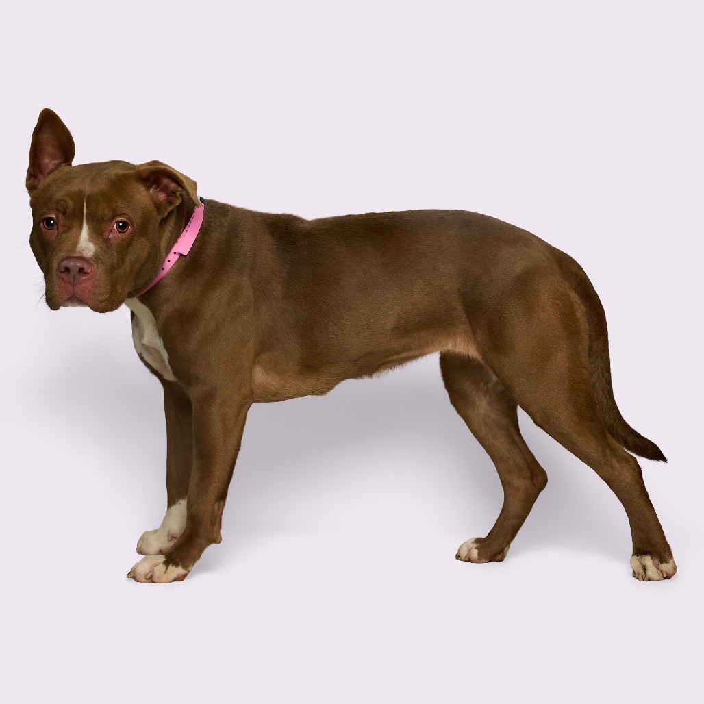 Sharnice — thumbnail 4