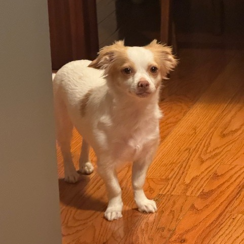 Photo of Millie 3