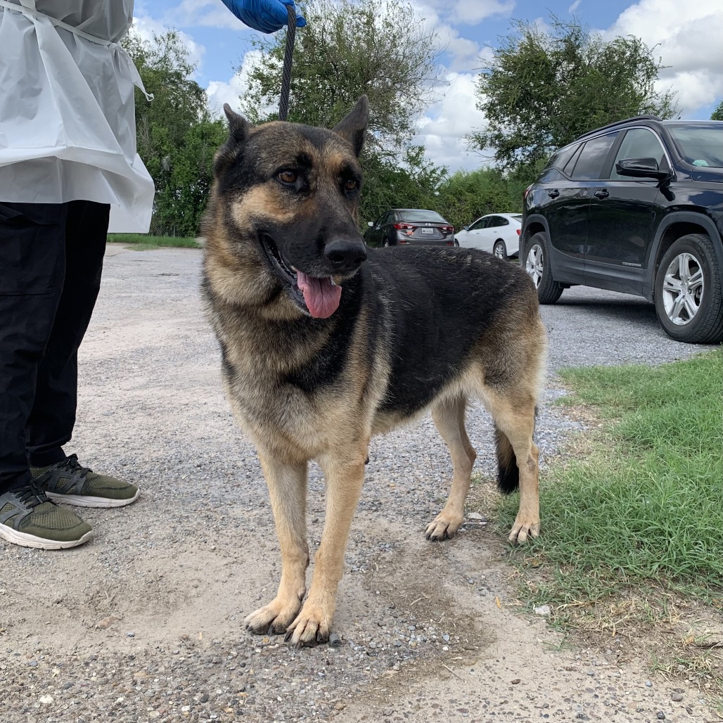 Shiloh