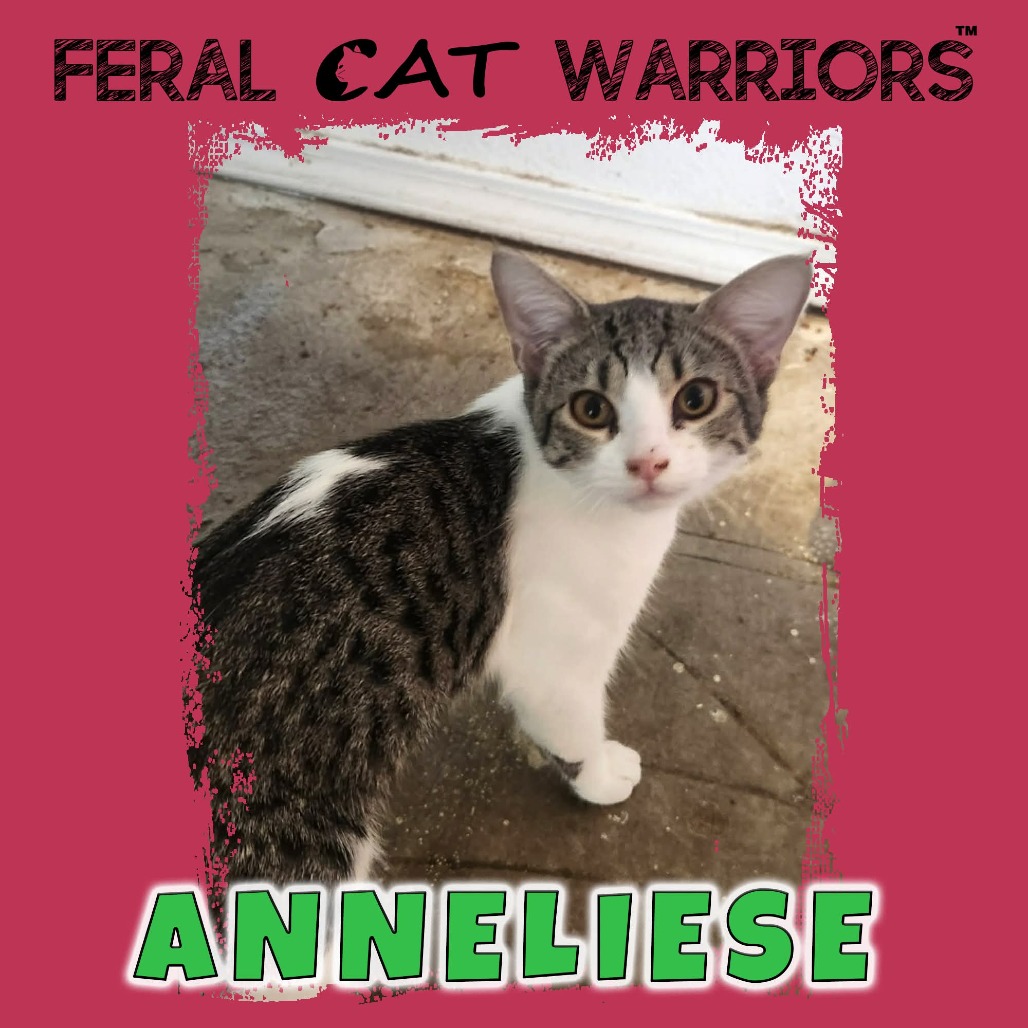 Anneliese