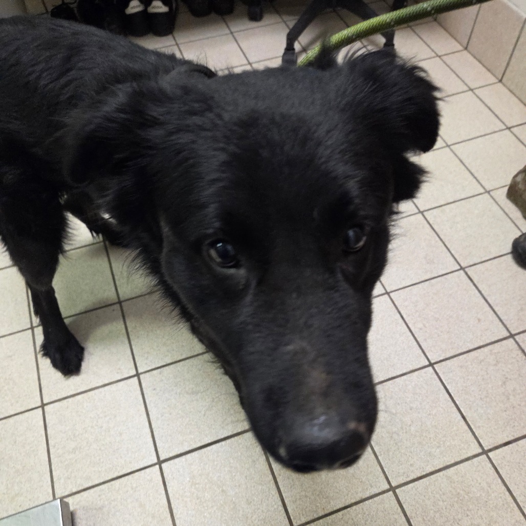 Gavin — thumbnail 2