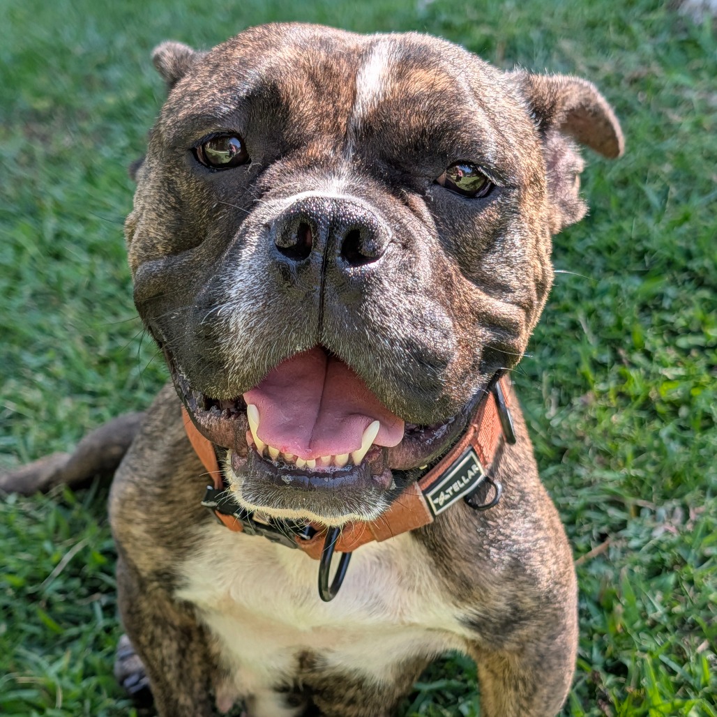 Delilah