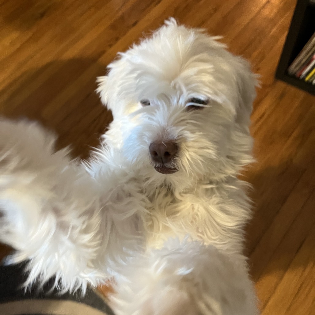 Lazio — thumbnail 5