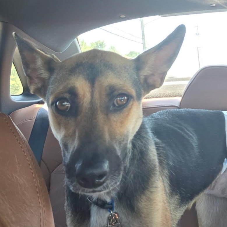 Gloria — thumbnail 2