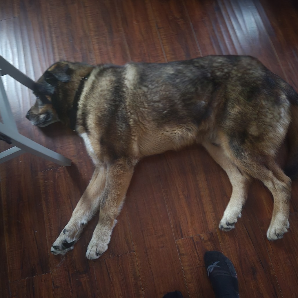 Bucky, photo 12