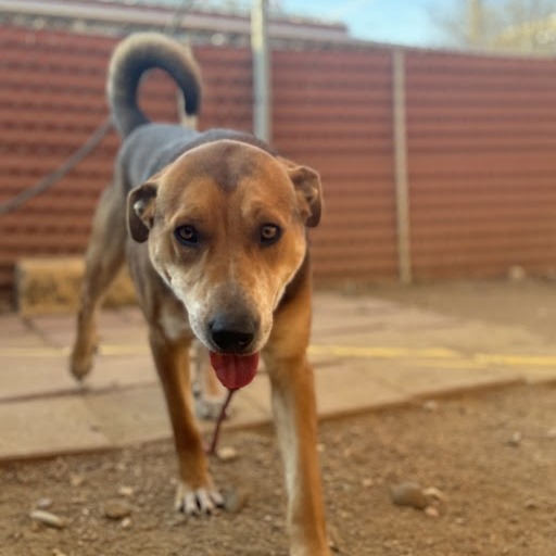 Lenny — thumbnail 10