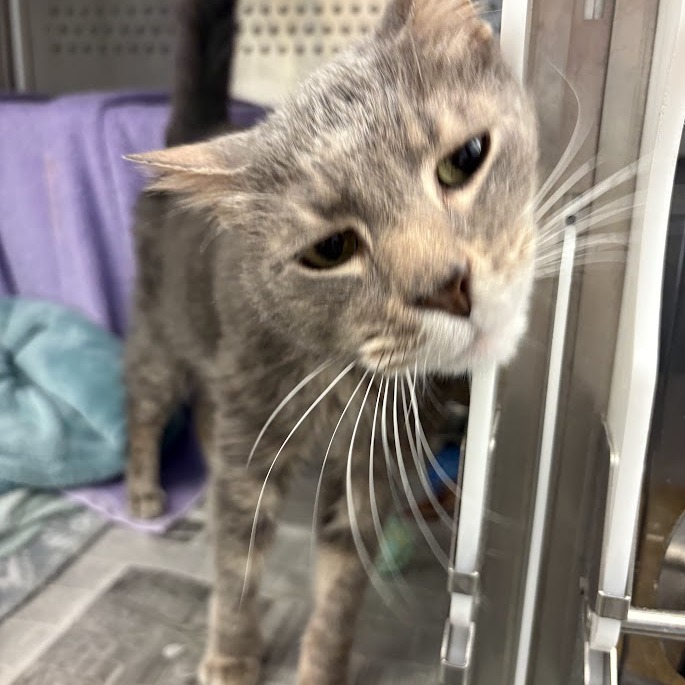 Photo of Oliver 5