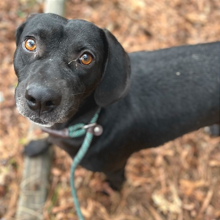 Aura — thumbnail 7