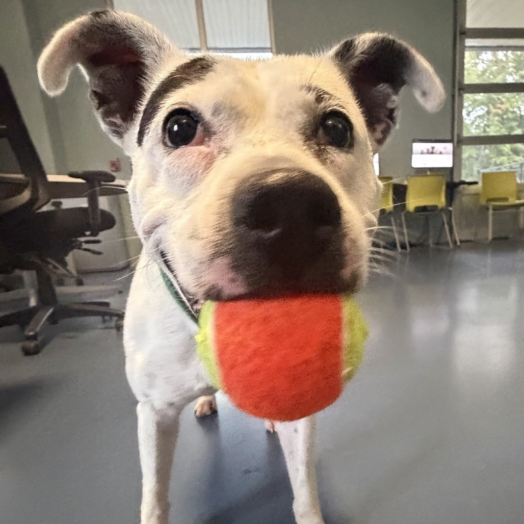 Mia, photo 34