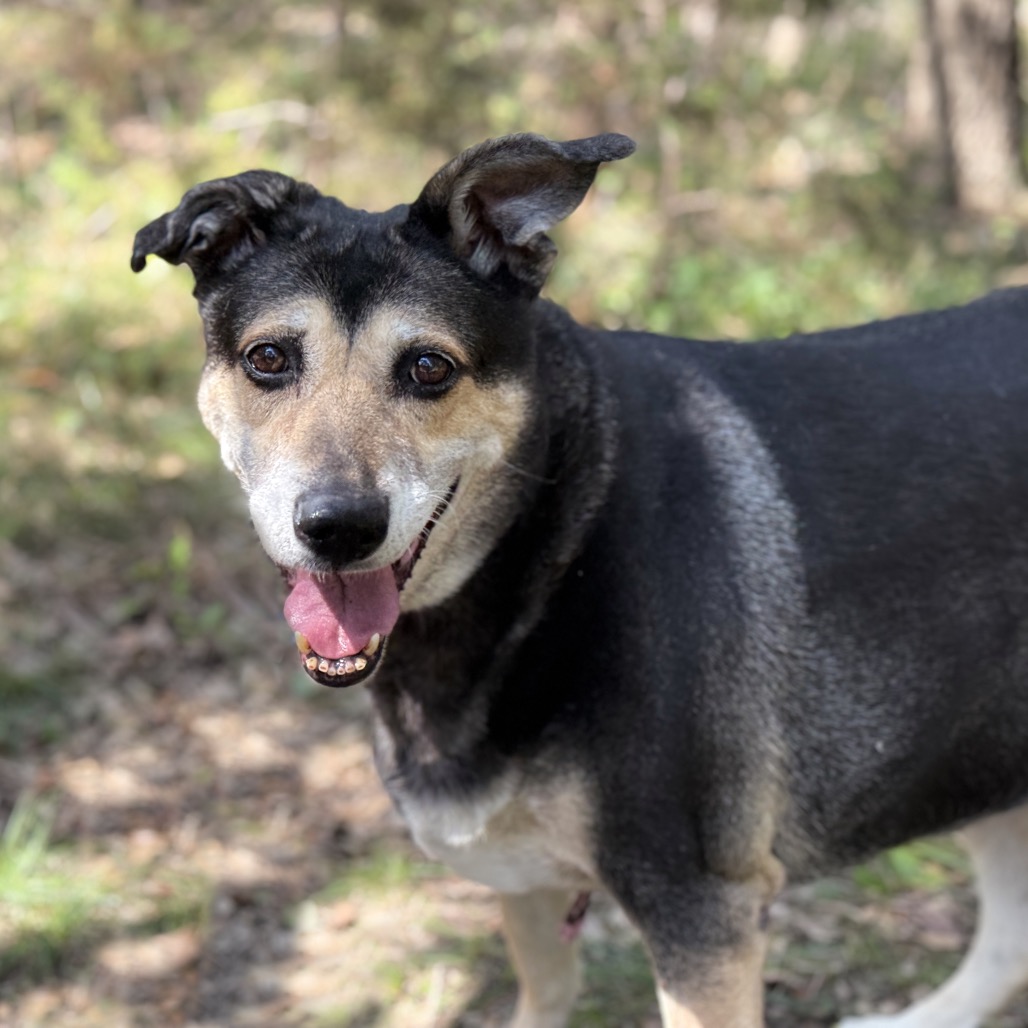 MADDY, photo 7