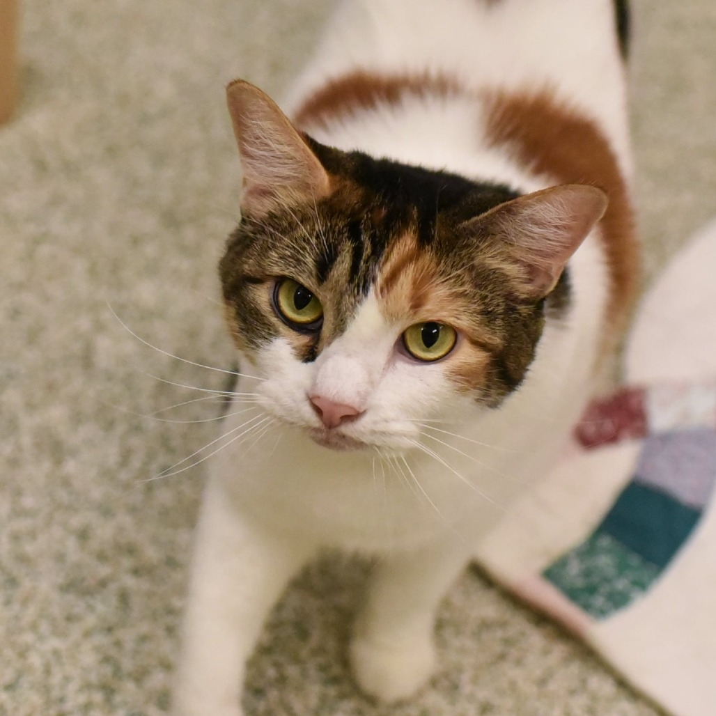 Sandy — thumbnail 2