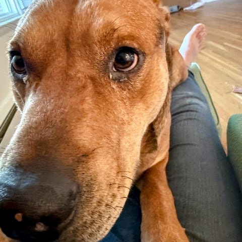 Randy — thumbnail 4