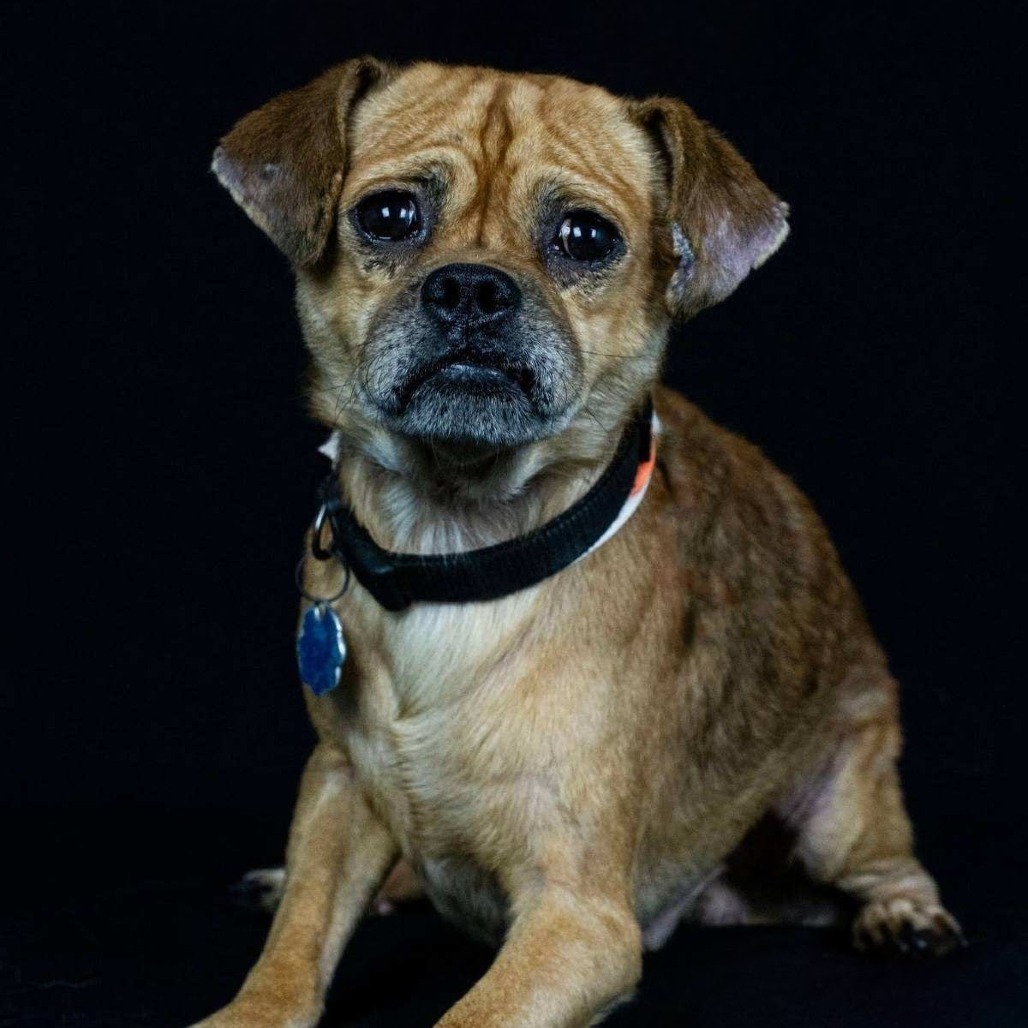 Jimmy — thumbnail 2