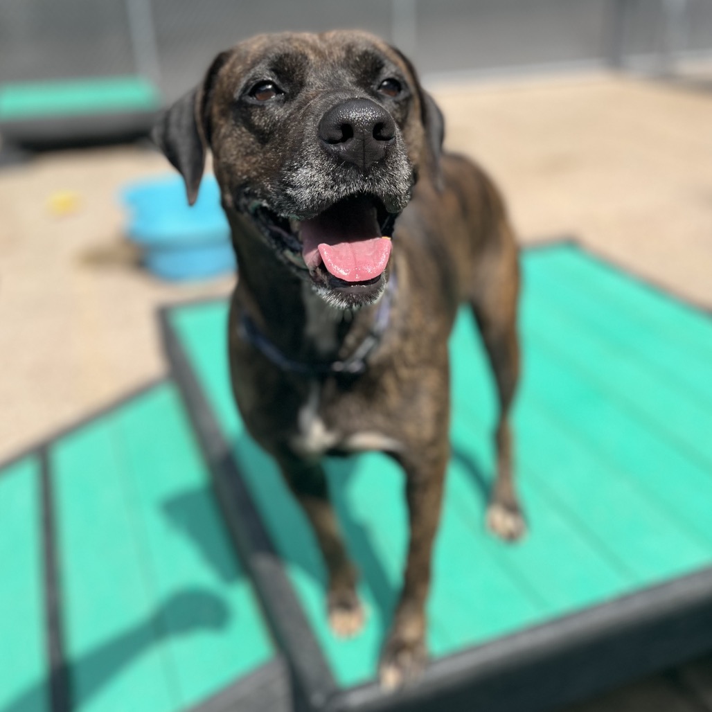 Lisa Frank — thumbnail 3