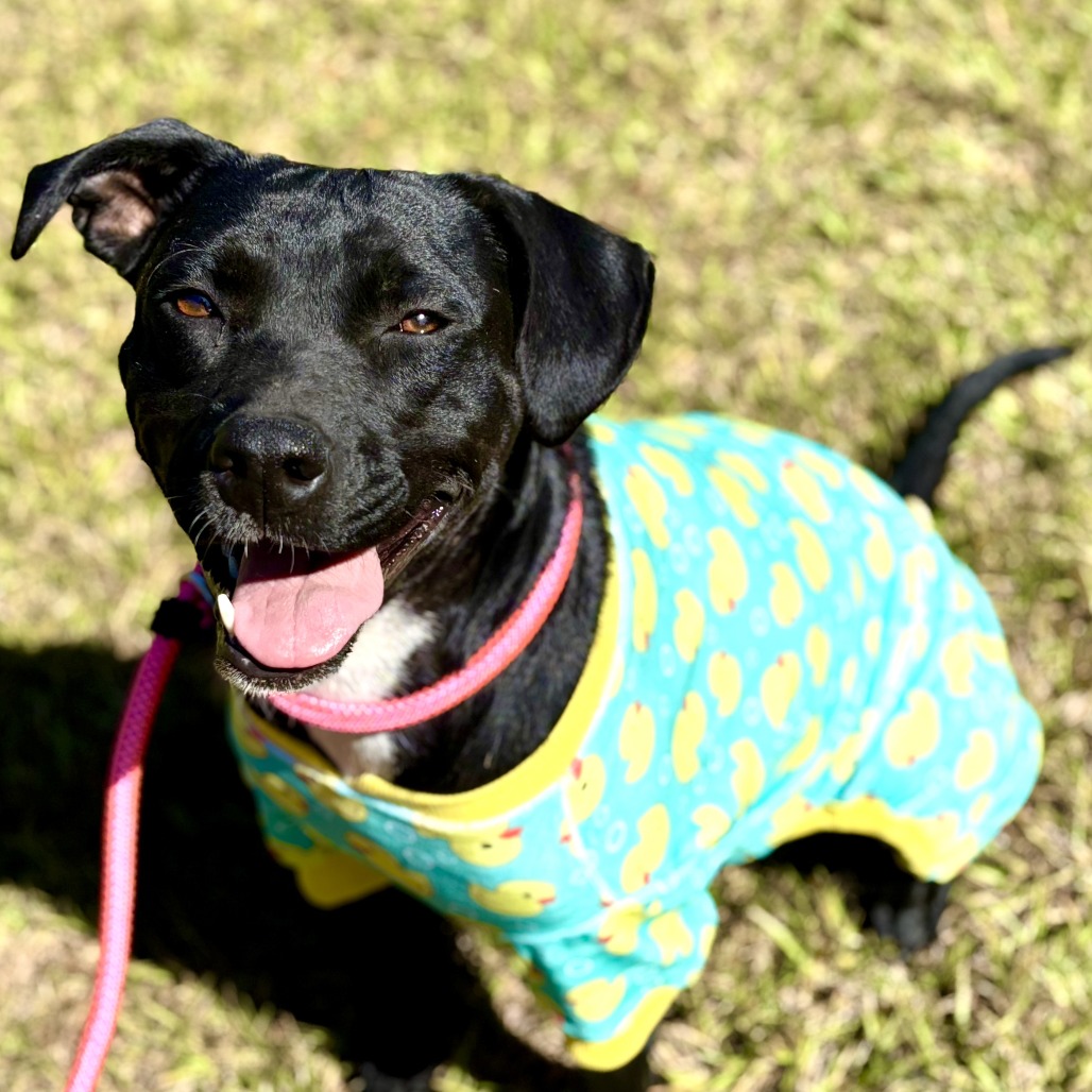 Tia (waiting for 1 1/2 years)