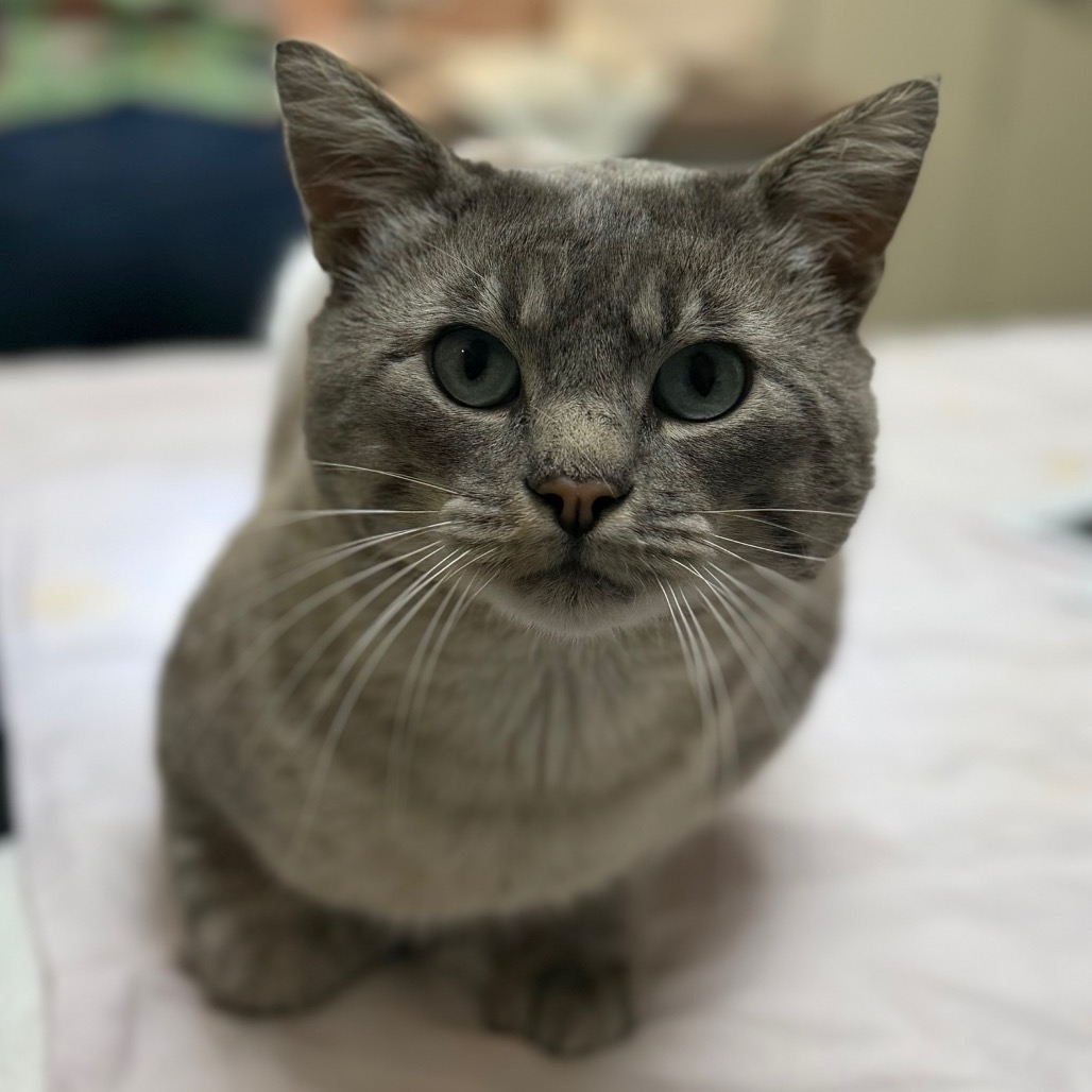 Milton