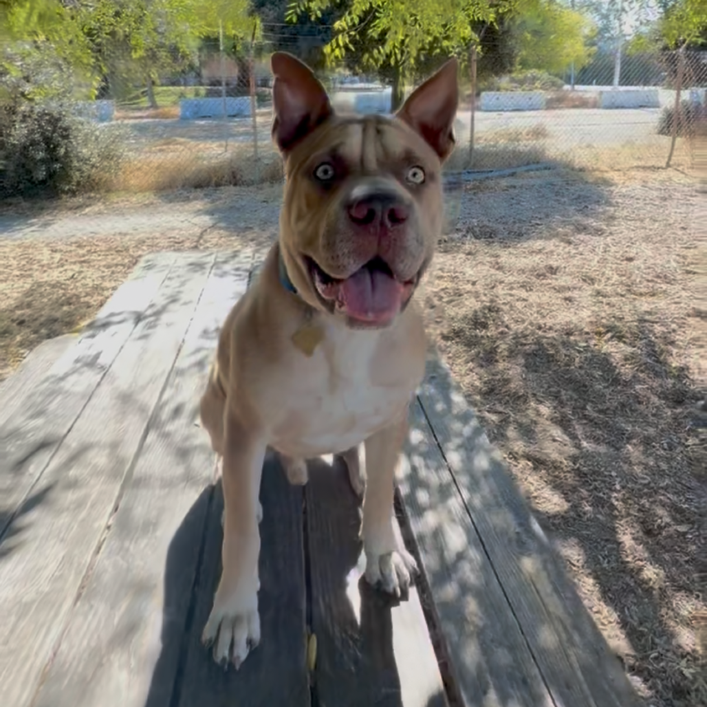 GUS, photo 5