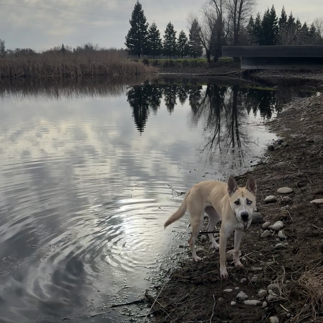 ELSIE — thumbnail 5