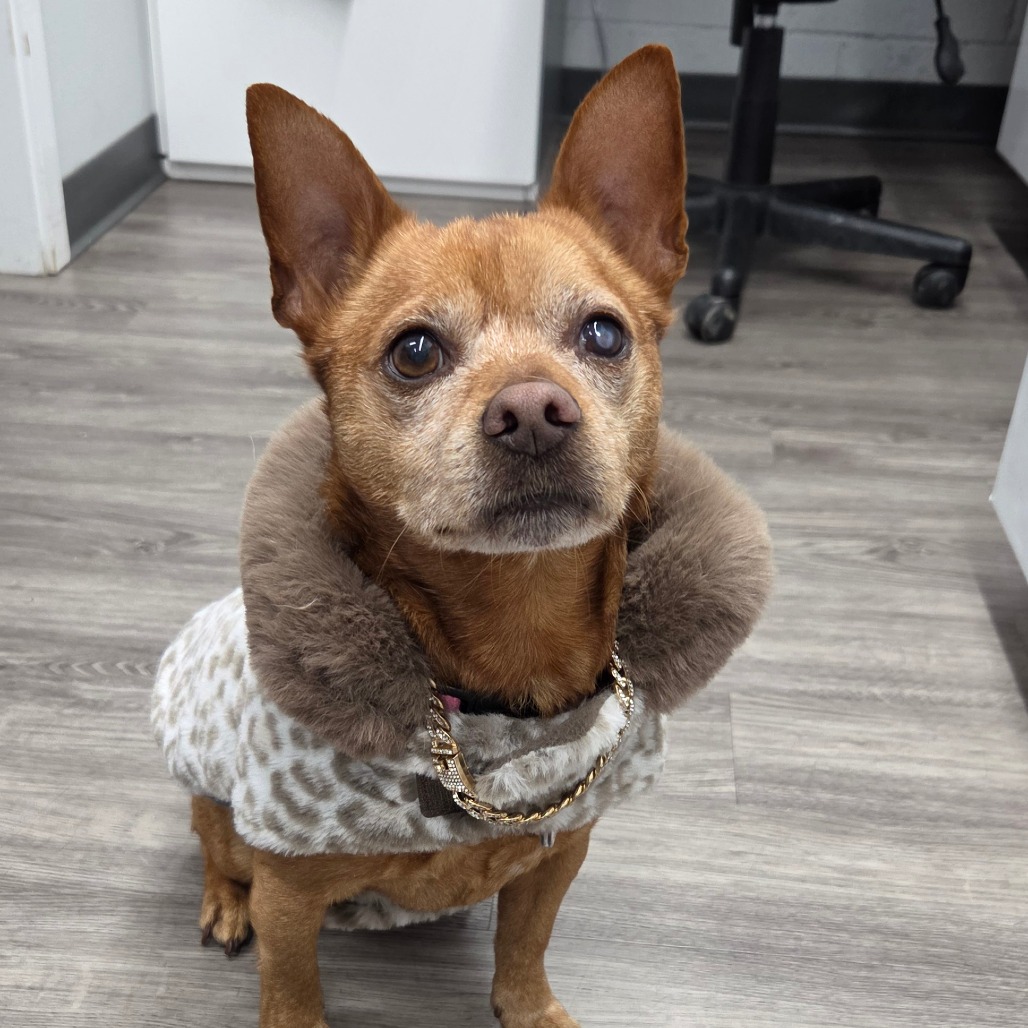 Frito, photo 26