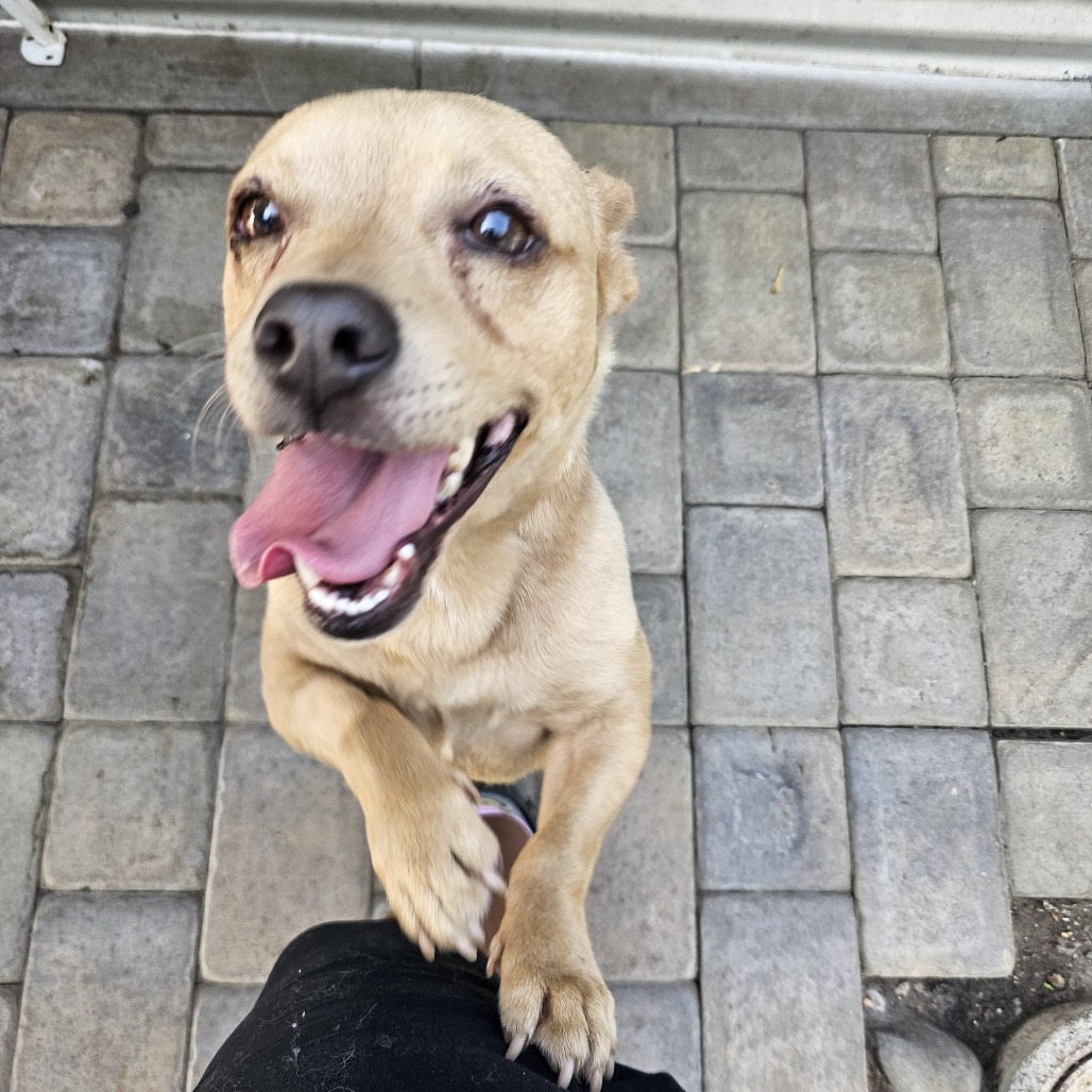 Mojito — thumbnail 2