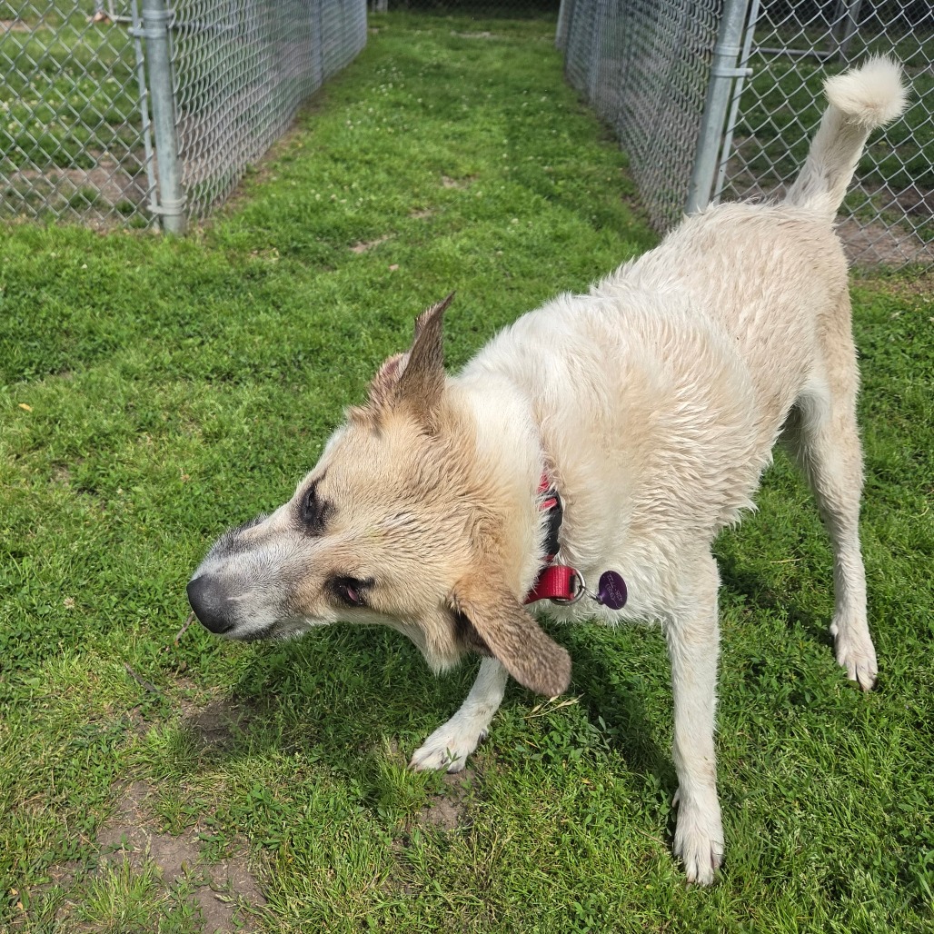 Charlie photo 18