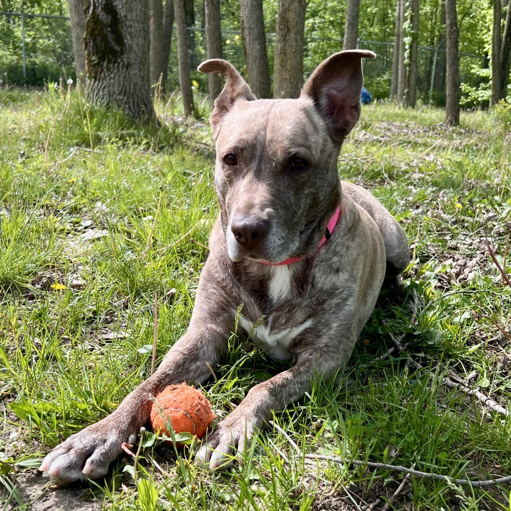 Dixie Loo, photo 26