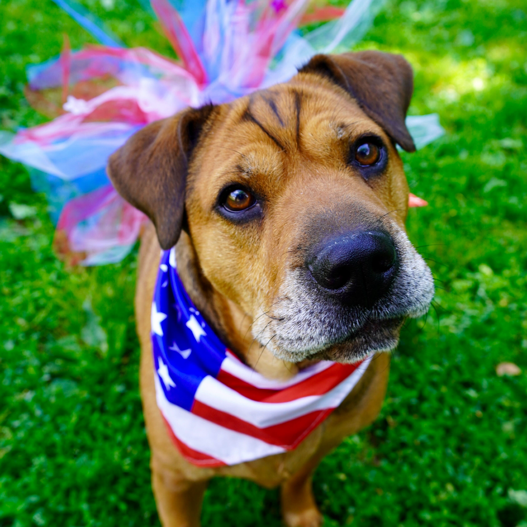 Zoey, photo 15
