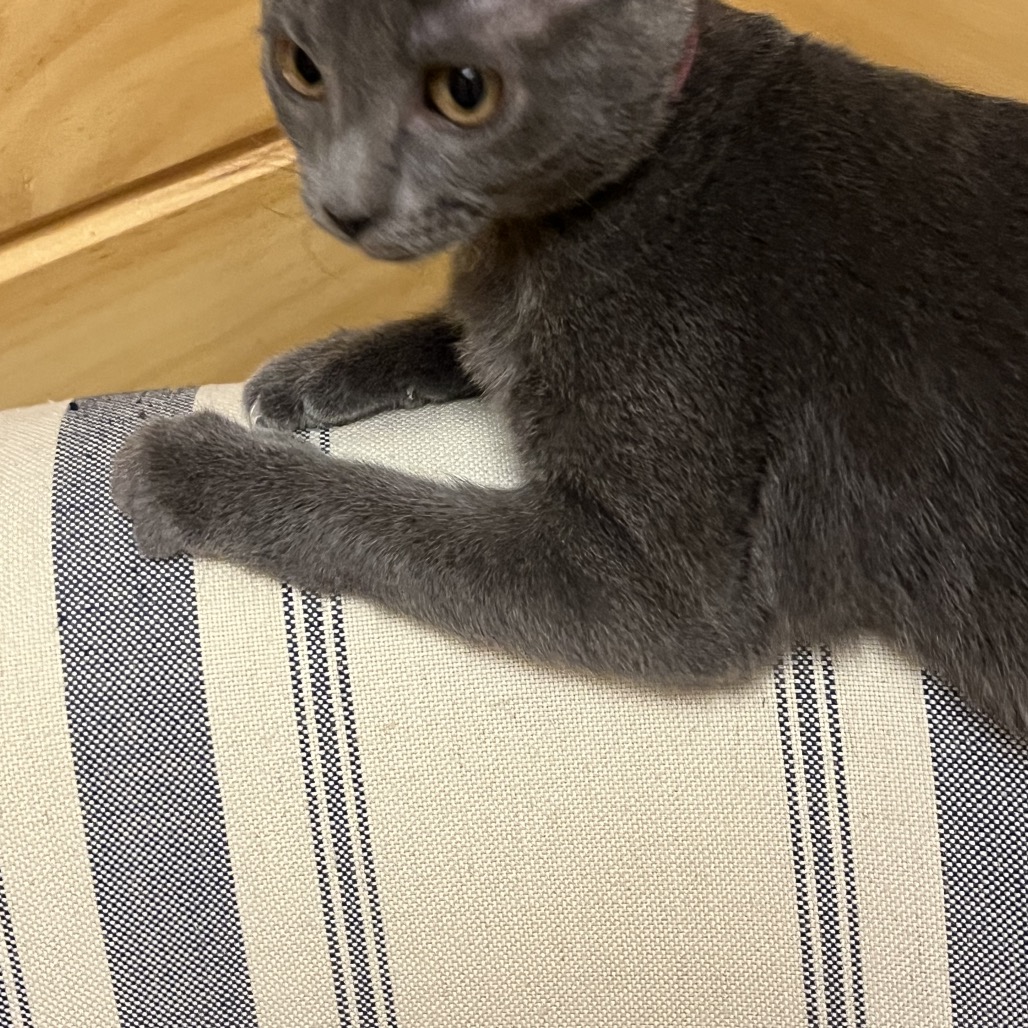 Eddie, photo 11