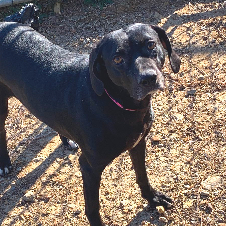 Aura — thumbnail 8