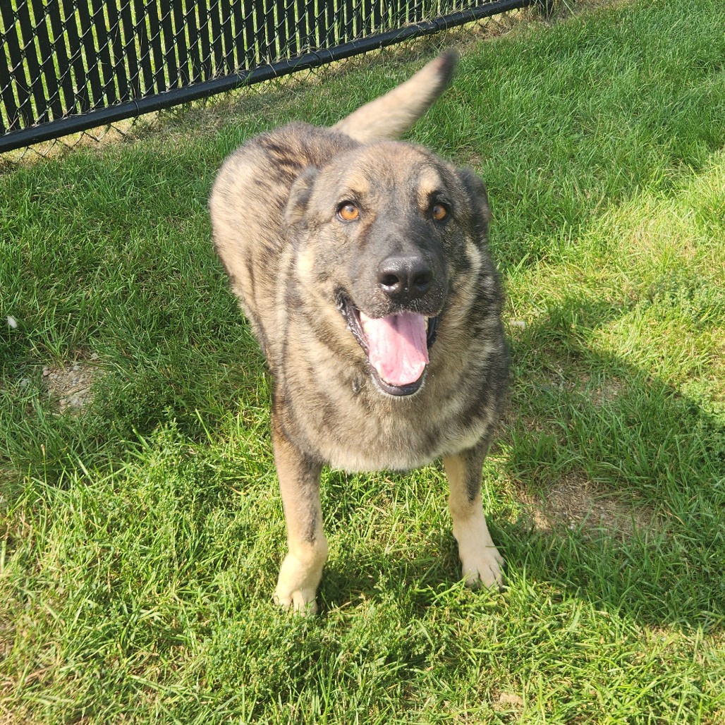 Ruger