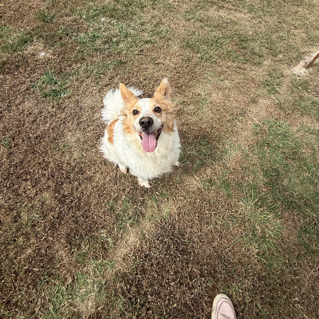 Sandy photo 4