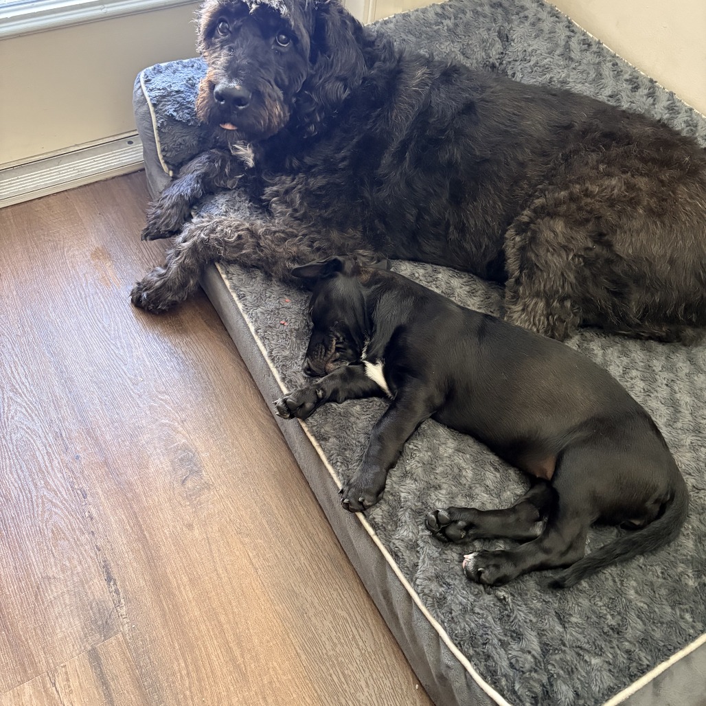 Leona — thumbnail 4