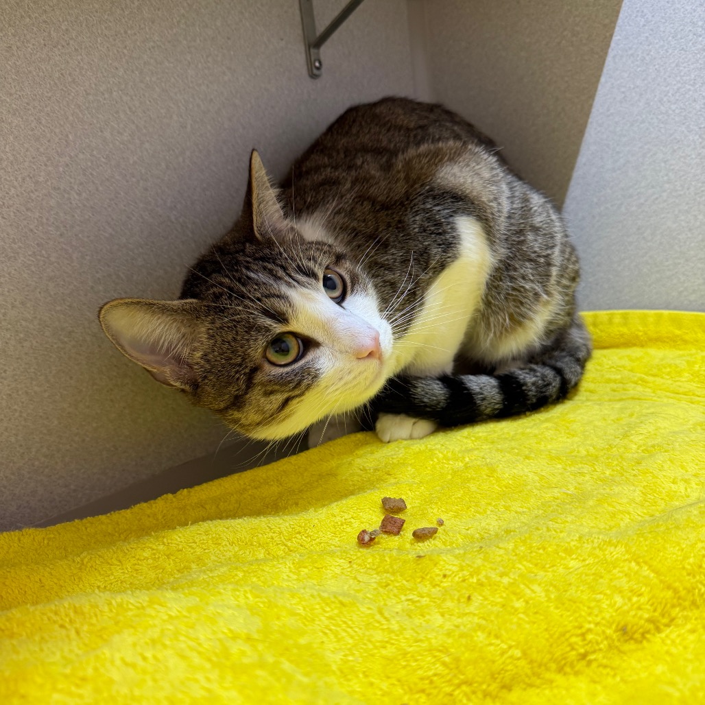 Photo of Nick Carraway 19