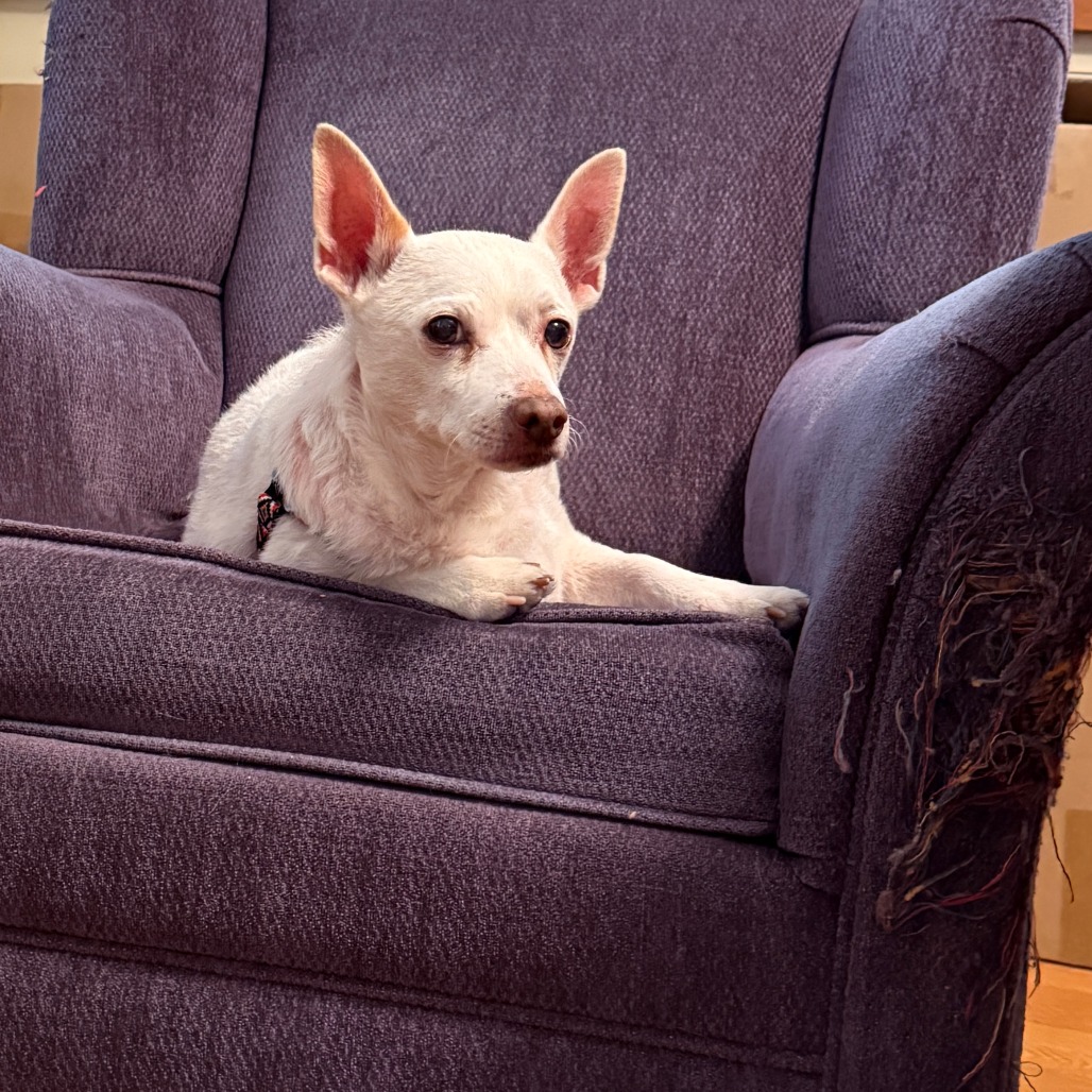 Jetson, photo 3