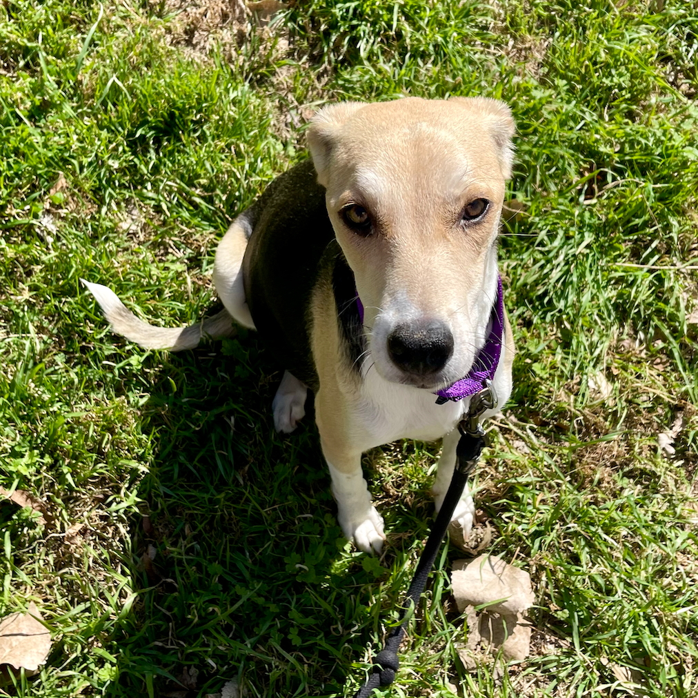 Princess Peach — thumbnail 6